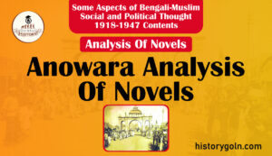 Anowara Analysis Of Novels