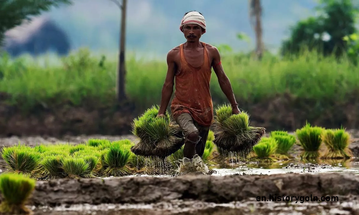 Rural Indebtedness In Bengal : 1935 – 1947 Contents