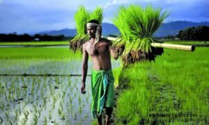 Rural Indebtedness In Bengal : 1935 – 1947 Contents